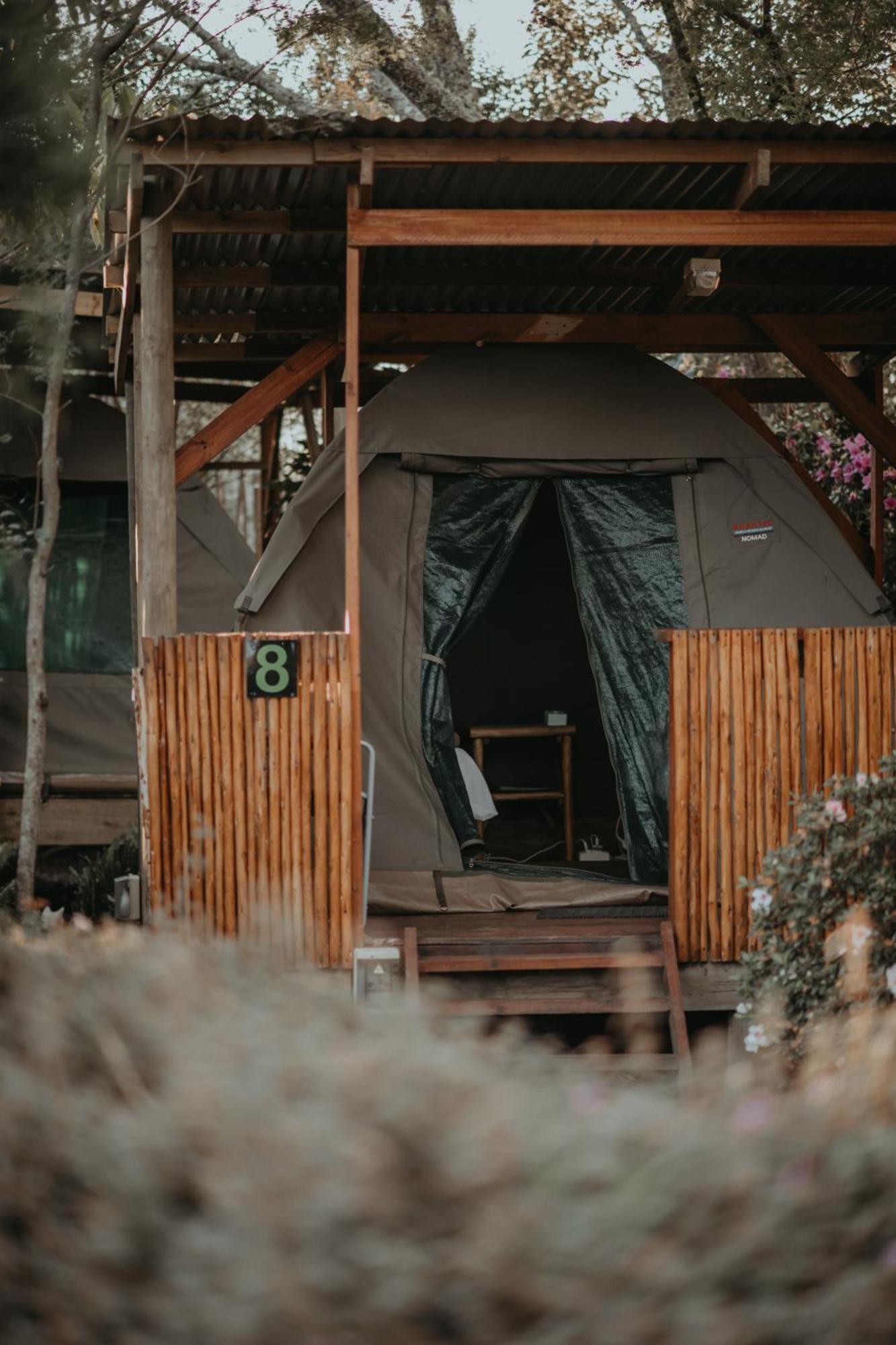 Storms River Forest Lodge 스톰스리비에르 외부 사진