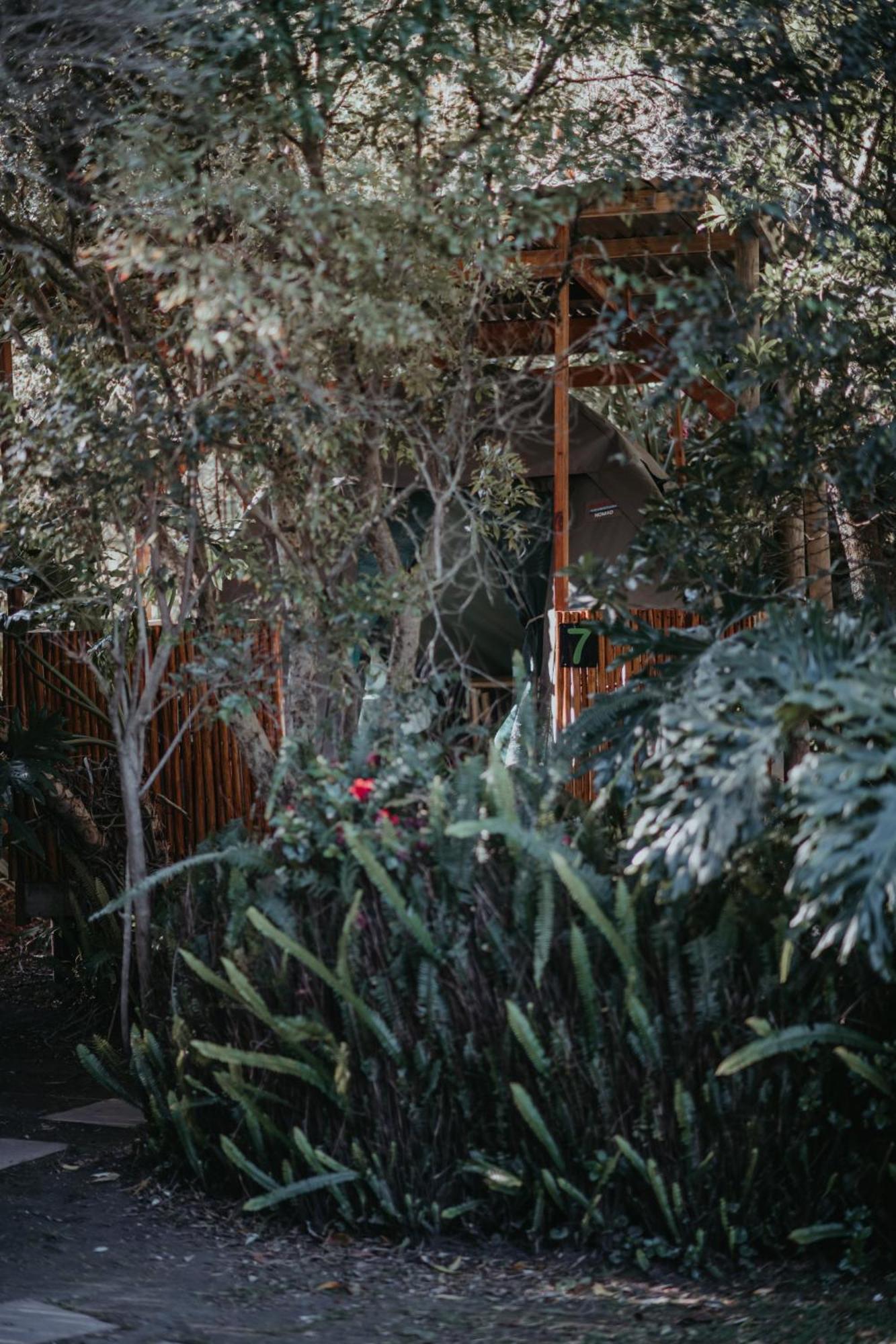 Storms River Forest Lodge 스톰스리비에르 외부 사진