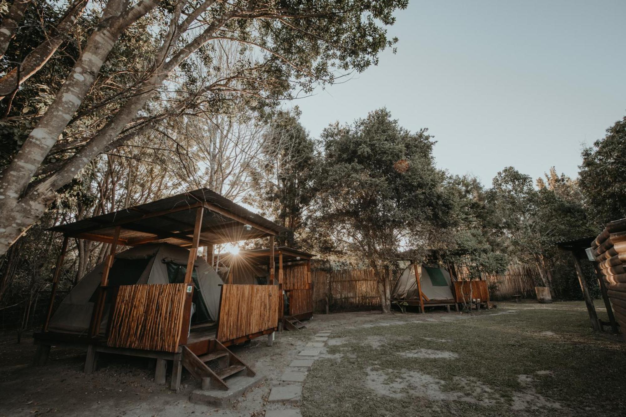 Storms River Forest Lodge 스톰스리비에르 외부 사진